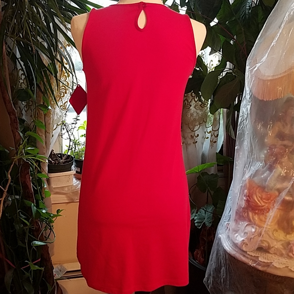 Dress - Picture 2 of 6